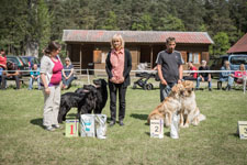 Nejlepší pár psů - Speciální výstava Knížecí rybník u Tábora, 16.5.2015 [nové okno]